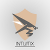 Intuitix