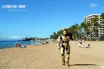 master chief summer